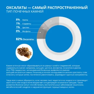 ОКСАЛИТ при оксалатных камнях в почках, 60 капсул, 406 мг